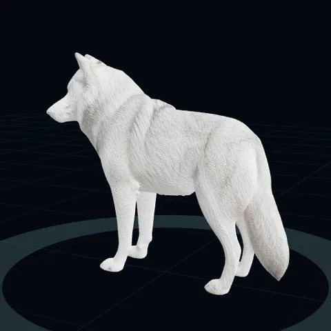a white wolf, side