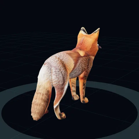 a red fox, front